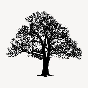 Leafless tree silhouette clipart, nature | Free Vector - rawpixel