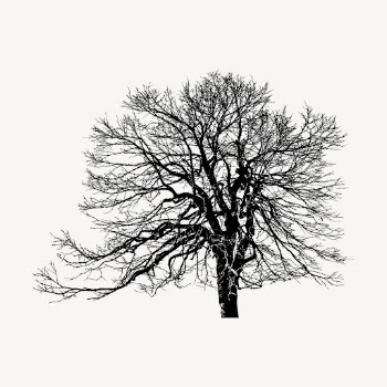 Leafless tree silhouette collage element, | Free PSD - rawpixel