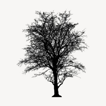 Leafless tree silhouette collage element, | Free PSD - rawpixel