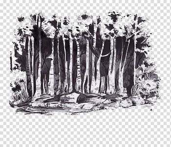 Leafless trees illustration, T-shirt Forest Icon, forest transparent background PNG clipart