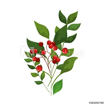 leafs and branches with seeds decoration christmas design