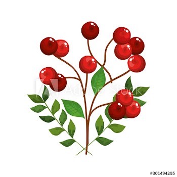 leafs and branches with seeds decoration christmas design
