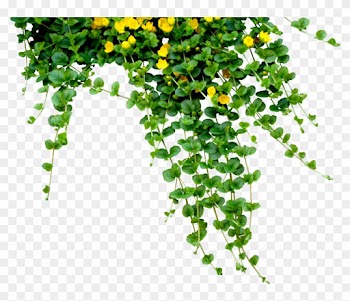 Leafs And Flowers By Waitforawhile-d52e0f8 - Plants Png