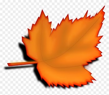 Leafs Cartoon Clip Art - Leaf Clipart No Background