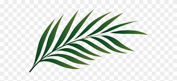 Leafy Branch Clip Art - Palm Tree Leaf Clipart