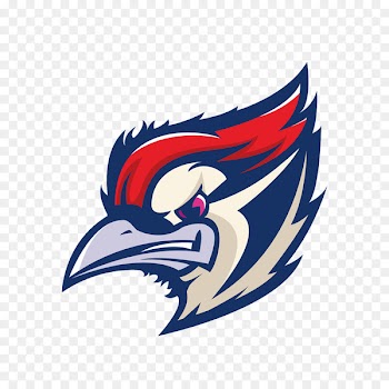 League Of Legends, Super Sentai, Royal Never Give Up, Bird, Eagle PNG