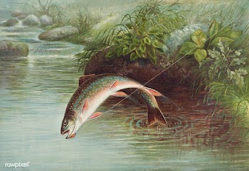 Leaping Brook Trout chromolithograph (1874) by Samuel Kilbourne. Origi.. | Free public domain illustration - 2332981