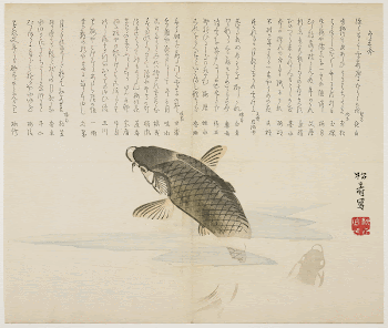 (Leaping carp)Original from the Minneapolis | Free Photo - rawpixel