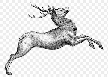 Leaping reindeer png sticker, animal | Free PNG - rawpixel