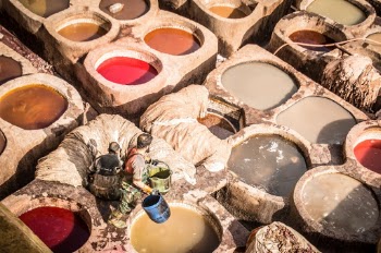 Leather dyeing in the oldest city in Morocco - Fes