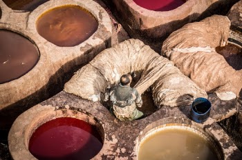 Leather dyeing in the oldest city in Morocco - Fes