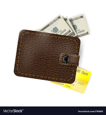 Leather wallet with dollars and a gold credit card vector image
