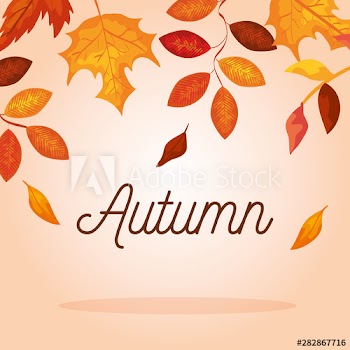 leaves and branches plants over pink background