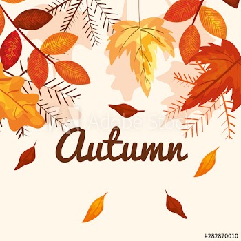 leaves and branches plants to autumn season
