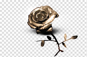 Leaves and flowers , gold rose flower transparent background PNG clipart