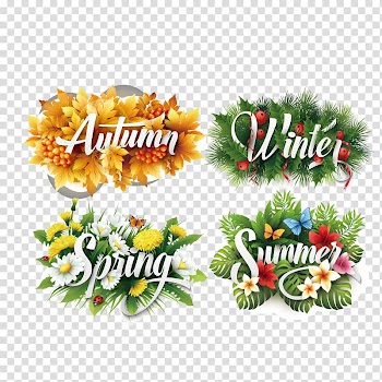 Leaves and flowers transparent background PNG clipart
