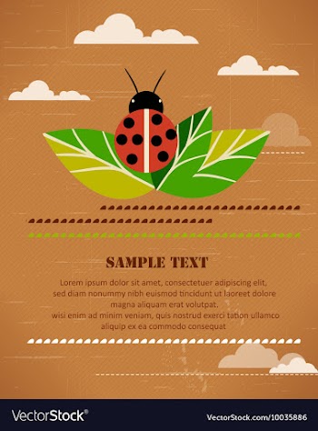 Leaves and lady bug vector image