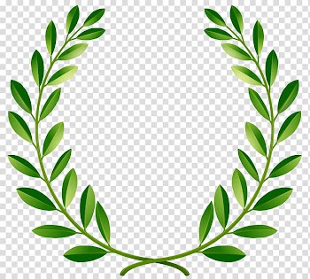 Leaves , Bay Laurel Laurel wreath , green transparent background PNG clipart