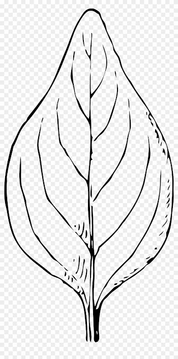 Leaves Black And White Maple Leaf Clipart Black And - Folha Preto E Branco