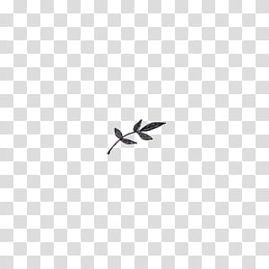 Leaves, black leaf transparent background PNG clipart