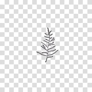 Leaves, black leaf transparent background PNG clipart