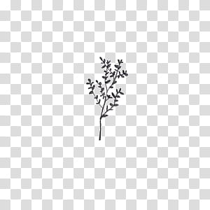 Leaves, black leaves transparent background PNG clipart