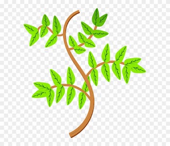 Leaves, Branch, Leaf, Plant - Rama De Una Planta