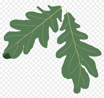 Leaves Clipart Oak Leaf - Oak Leaf Clip Art