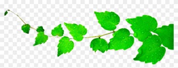 Leaves Clipart Png By Briellefantasy - Leaf Clip Art Png