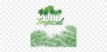 Leaves Decoration With Tropical Coconut Background, - True Love Wreath Monthly Planner 2016 Calendar [book]