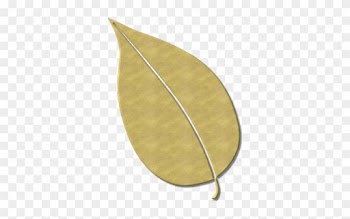 Leaves, Fall Foliage, Nature, Autumn - Autumn