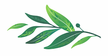 Leaves - Green Laurel Leaves Png Free PNG Images & Clipart ...