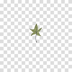 Leaves, green leaf icon transparent background PNG clipart