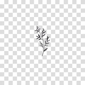 Leaves, green leafed plant transparent background PNG clipart