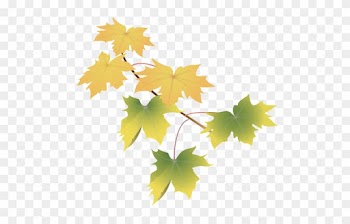 Leaves Green - Maple Leaf