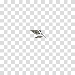 Leaves, grey leaves illustration transparent background PNG clipart