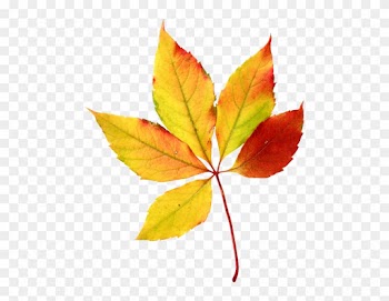 Leaves Halloween Clip Art - Fall Leaf Clip Art