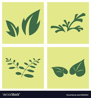 Leaves icon set isolated on background various vector image