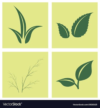 Leaves icon set isolated on background various vector image