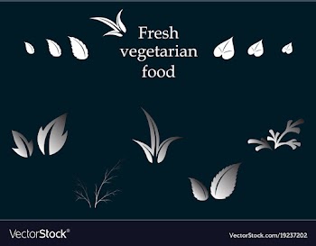 Leaves icon set isolated on background various vector image