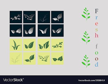 Leaves icon set isolated on background various vector image