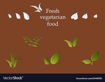 Leaves icon set isolated on background various vector image