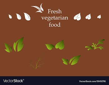 Leaves icon set isolated on background various vector image