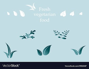Leaves icon set isolated on background various vector image