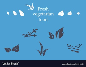 Leaves icon set isolated on background various vector image