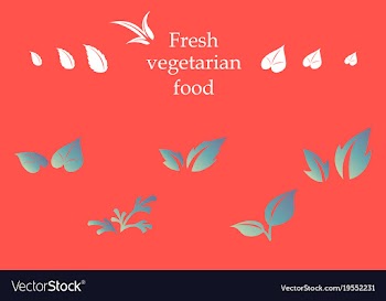 Leaves icon set isolated on background various vector image