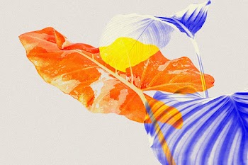 Leaves in double color abstract exposure… | Free stock illustration | High Resolution graphic