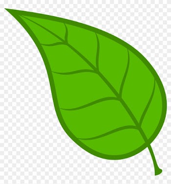 Leaves Leaf Free Download Clip Art On Clipart Library - Leaf Clipart