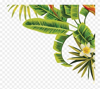 Leaves Leaf Tropical Green Palmtree California Nature - Tropical Palm Leaves Png