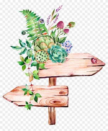 Leaves Leave Nature Watercolors Watercolor Watercolours - Watercolor Succulents Clipart Png